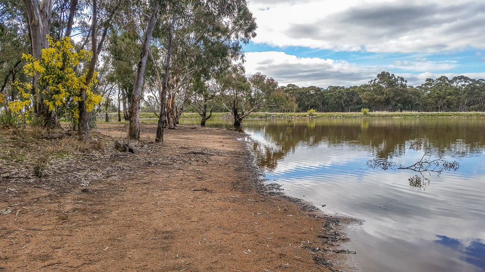 Bealiba Reservoir Recreation Area | Goldfields Guide