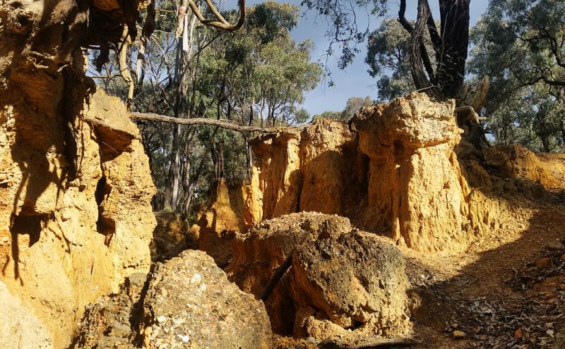 Dead Dog Gully Alluvial Gold Workings | Goldfields Guide