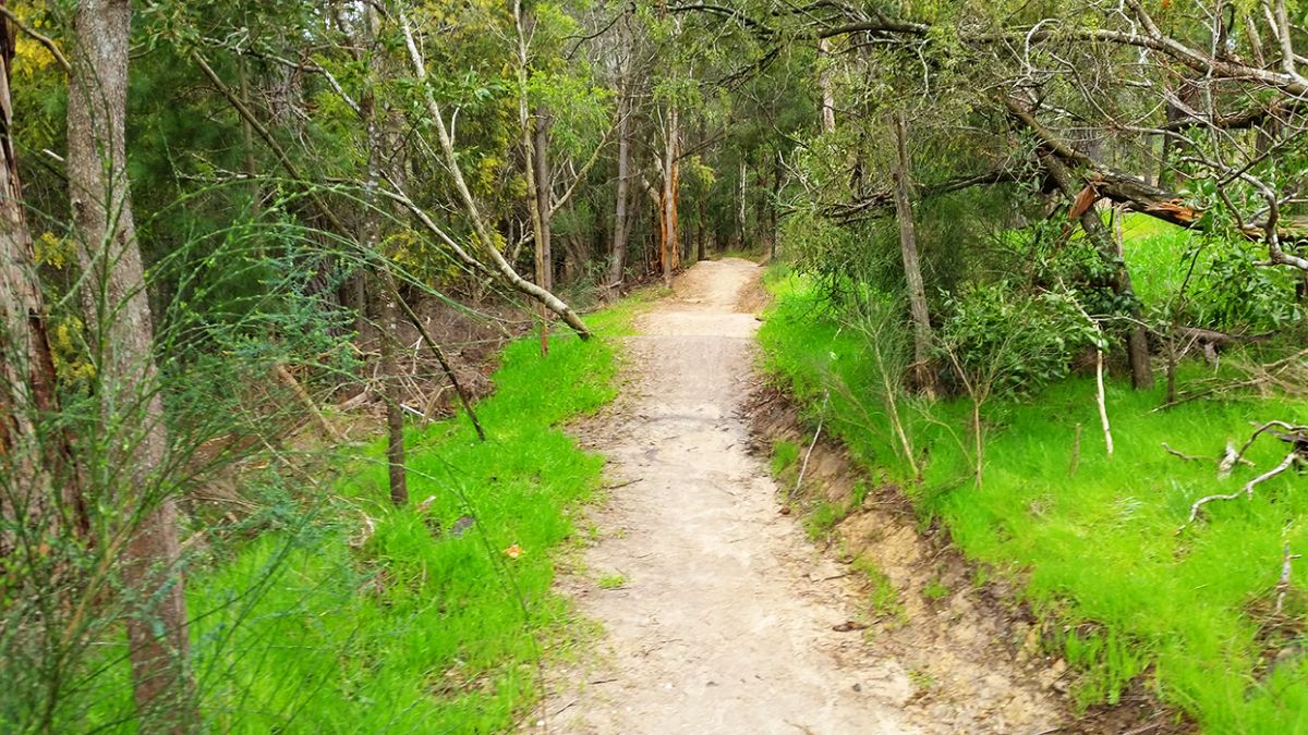 black hill mountain bike park