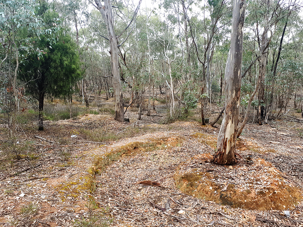 Gold Puddler on M114 Track | Goldfields Guide