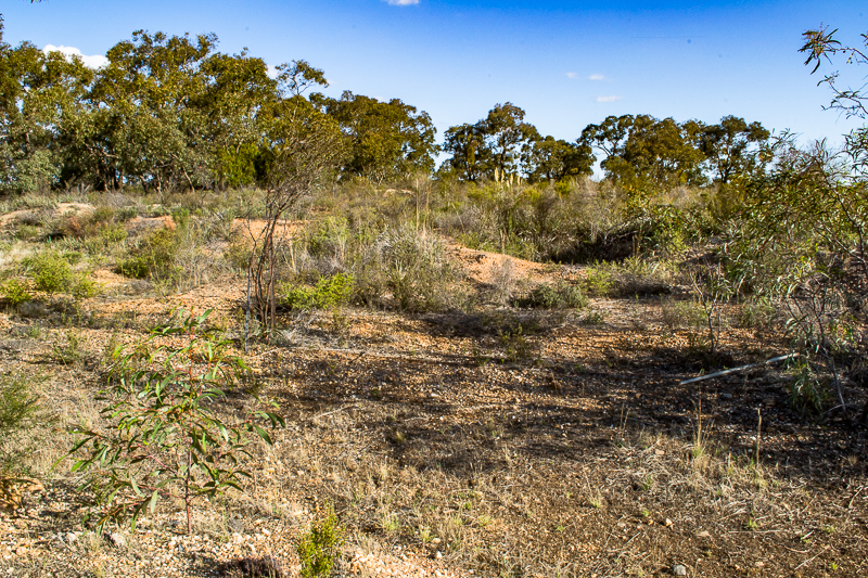 Chinese Diggings Historic Reserve | Goldfields Guide