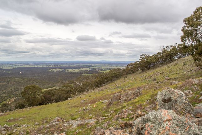 Mount Moliagul | Goldfields Guide