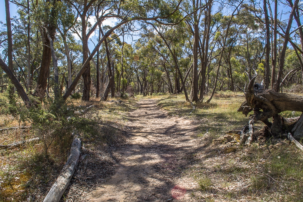 Raglan Bushland Reserve | Goldfields Guide