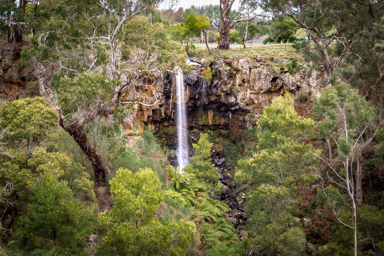 Sailors Falls Goldfields Guide 4030