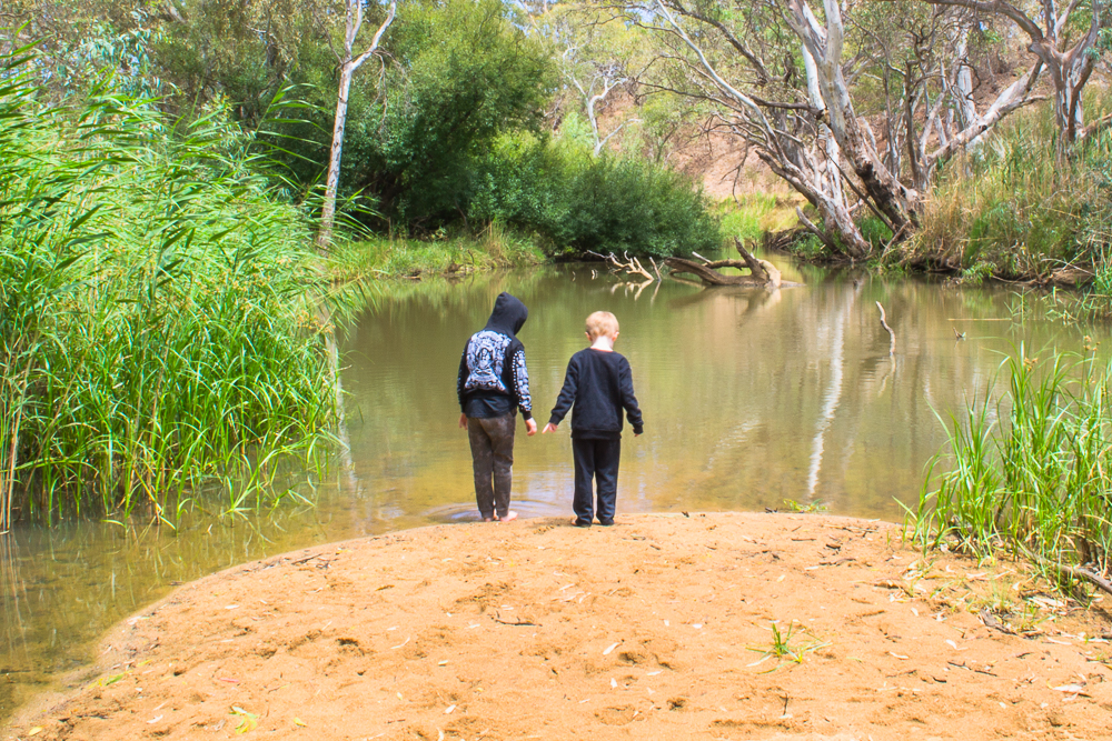 hamiltons-crossing-goldfields-guide