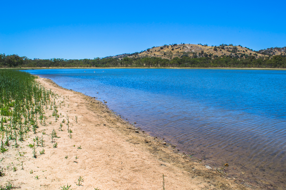 Barkers Creek Reservoir Goldfields Guide