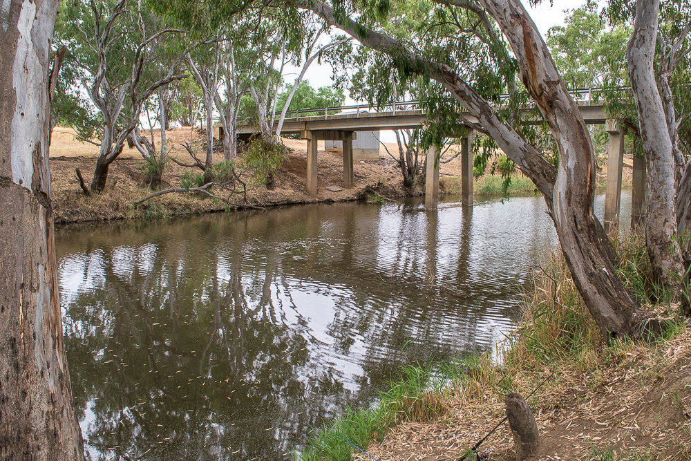 Barnadown Streamside Reserve | Goldfields Guide