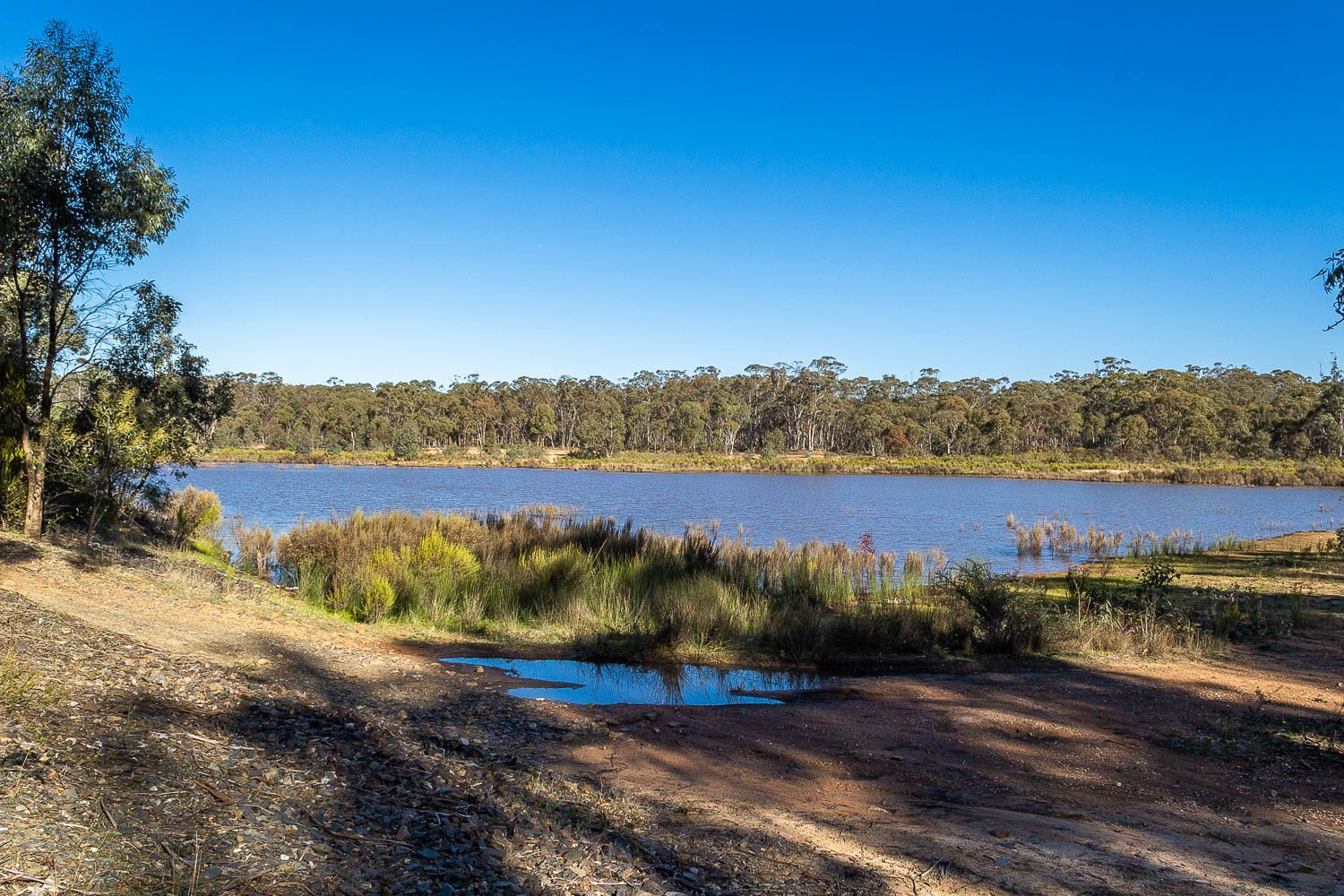 Carisbrook Reservoir | Goldfields Guide